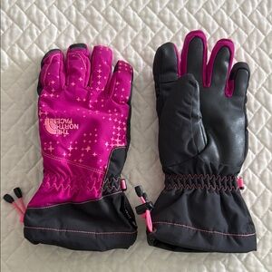 The North Face Fuchsia and Black Winter Gloves